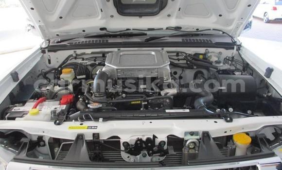 Tenga Tsaru Nissan NP 300 Chena Mota in Beitbridge in Matabeleland South Tenga Tsaru Nissan NP 300 Chena Mota in Beitbridge in Matabeleland South