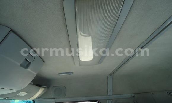 Tenga Tsaru Nissan UD Chena Rori in Beitbridge in Matabeleland South Tenga Tsaru Nissan UD Chena Rori in Beitbridge in Matabeleland South