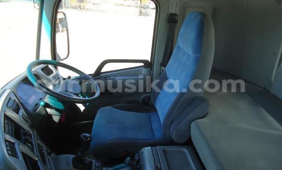 Tenga Tsaru Nissan UD Chena Rori in Beitbridge in Matabeleland South Tenga Tsaru Nissan UD Chena Rori in Beitbridge in Matabeleland South