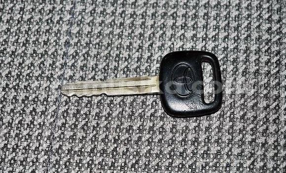 Tenga Tsaru Toyota Harrier Chena Mota in Beitbridge in Matabeleland South Tenga Tsaru Toyota Harrier Chena Mota in Beitbridge in Matabeleland South