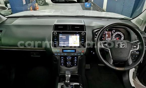 Tenga Tsaru Toyota Land Cruiser Prado Chena Mota in Harare in Harare Tenga Tsaru Toyota Land Cruiser Prado Chena Mota in Harare in Harare