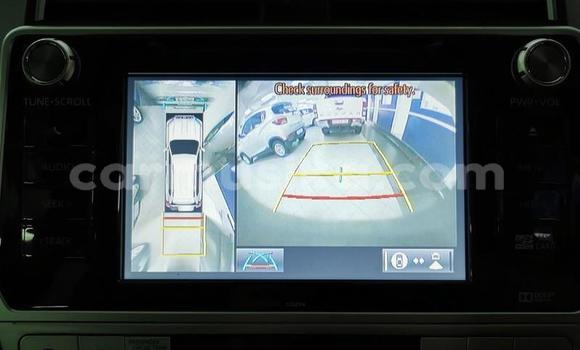 Tenga Tsaru Toyota Land Cruiser Prado Chena Mota in Harare in Harare Tenga Tsaru Toyota Land Cruiser Prado Chena Mota in Harare in Harare