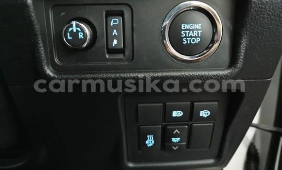 Tenga Tsaru Toyota Land Cruiser Prado Chena Mota in Harare in Harare Tenga Tsaru Toyota Land Cruiser Prado Chena Mota in Harare in Harare