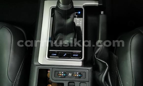 Tenga Tsaru Toyota Land Cruiser Prado Chena Mota in Harare in Harare Tenga Tsaru Toyota Land Cruiser Prado Chena Mota in Harare in Harare