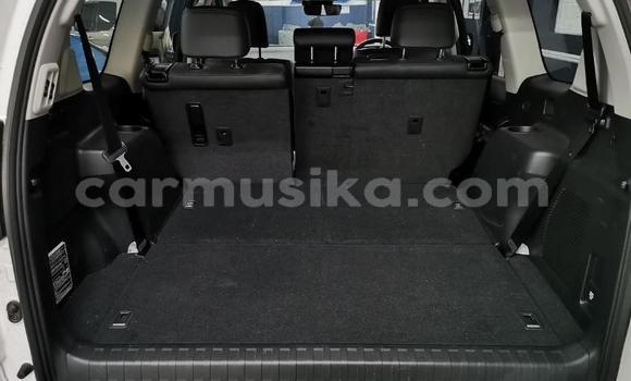 Tenga Tsaru Toyota Land Cruiser Prado Chena Mota in Harare in Harare Tenga Tsaru Toyota Land Cruiser Prado Chena Mota in Harare in Harare