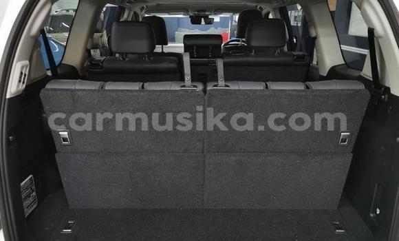 Tenga Tsaru Toyota Land Cruiser Prado Chena Mota in Harare in Harare Tenga Tsaru Toyota Land Cruiser Prado Chena Mota in Harare in Harare