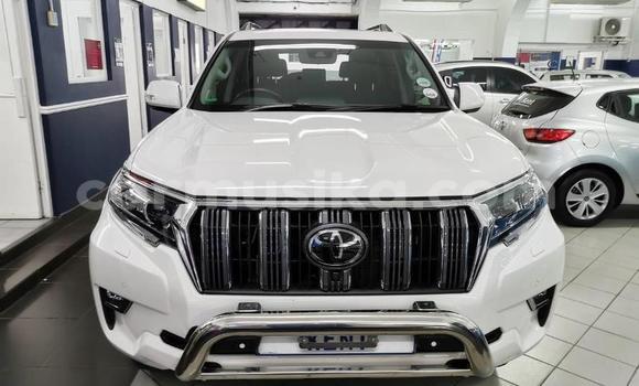 Tenga Tsaru Toyota Land Cruiser Prado Chena Mota in Harare in Harare Tenga Tsaru Toyota Land Cruiser Prado Chena Mota in Harare in Harare