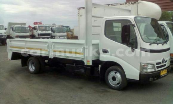 Buy Used Toyota Dyna White Truck in Beitbridge in Matabeleland South