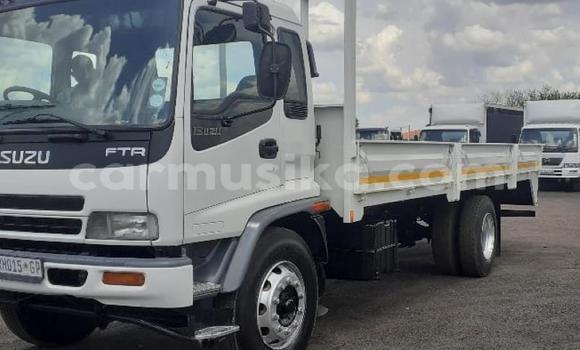 Buy Used Isuzu Elf White Truck in Beitbridge in Matabeleland South