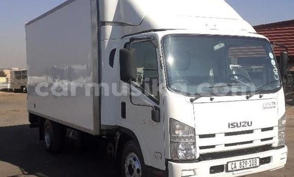 Tenga Tsaru Isuzu FTR 850 Chena Rori in Beitbridge in Matabeleland South Tenga Tsaru Isuzu FTR 850 Chena Rori in Beitbridge in Matabeleland South