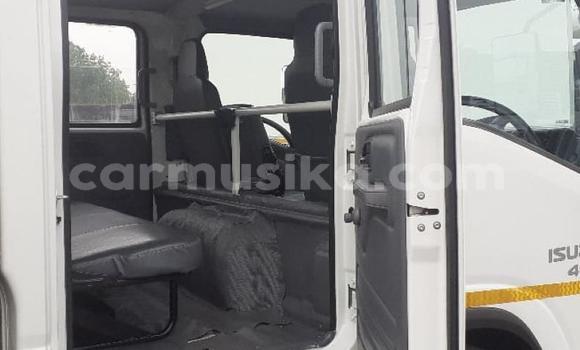 Tenga Tsaru Isuzu Elf Chena Rori in Beitbridge in Matabeleland South Tenga Tsaru Isuzu Elf Chena Rori in Beitbridge in Matabeleland South