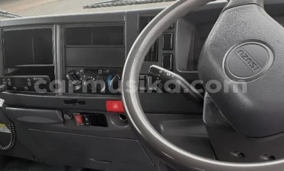 Tenga Tsaru Isuzu Elf Chena Rori in Beitbridge in Matabeleland South Tenga Tsaru Isuzu Elf Chena Rori in Beitbridge in Matabeleland South