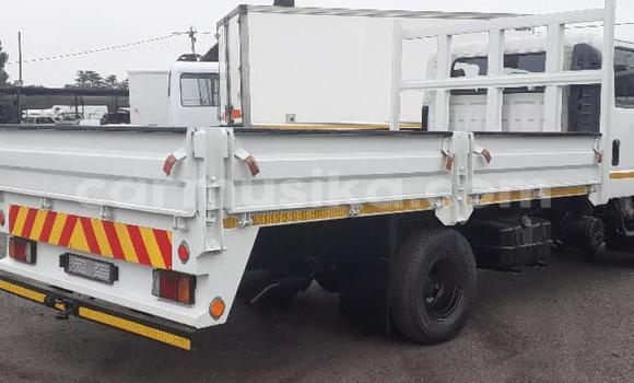 Tenga Tsaru Isuzu Elf Chena Rori in Beitbridge in Matabeleland South Tenga Tsaru Isuzu Elf Chena Rori in Beitbridge in Matabeleland South