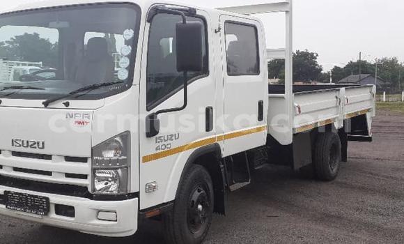 Tenga Tsaru Isuzu Elf Chena Rori in Beitbridge in Matabeleland South Tenga Tsaru Isuzu Elf Chena Rori in Beitbridge in Matabeleland South