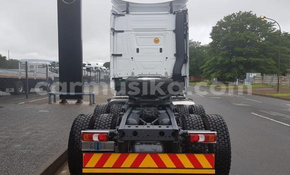 Buy Used Mercedes‒Benz Truck White Truck in Beitbridge in Matabeleland South Buy Used Mercedes‒Benz Truck White Truck in Beitbridge in Matabeleland South