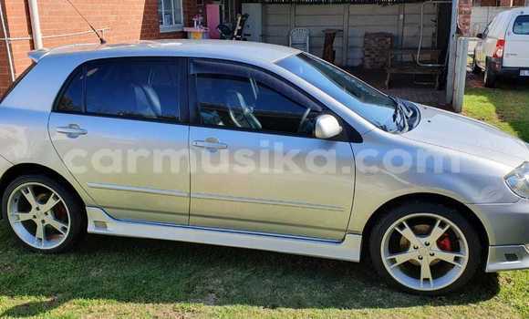 Acheter Occasion Voiture Toyota Runx Gris à Beitbridge, Matabeleland South