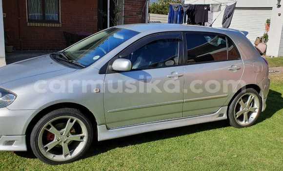 Acheter Occasion Voiture Toyota Runx Gris à Beitbridge, Matabeleland South Acheter Occasion Voiture Toyota Runx Gris à Beitbridge, Matabeleland South