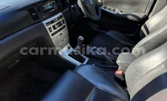 Acheter Occasion Voiture Toyota Runx Gris à Beitbridge, Matabeleland South Acheter Occasion Voiture Toyota Runx Gris à Beitbridge, Matabeleland South