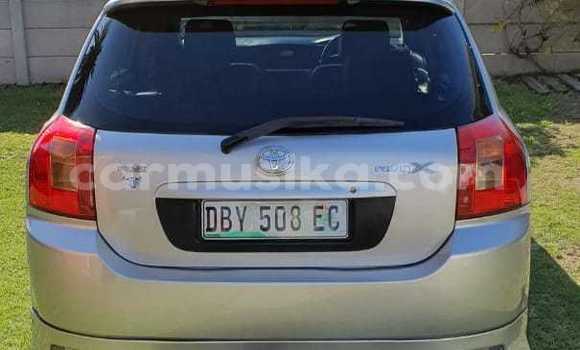 Acheter Occasion Voiture Toyota Runx Gris à Beitbridge, Matabeleland South Acheter Occasion Voiture Toyota Runx Gris à Beitbridge, Matabeleland South