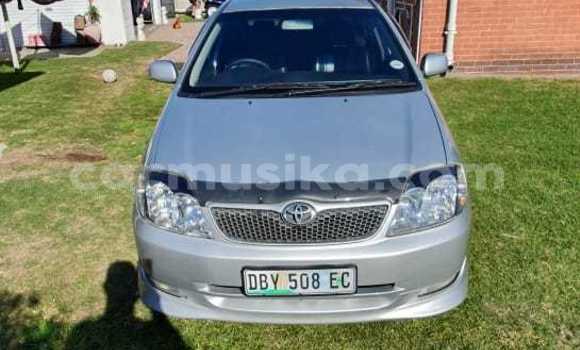 Acheter Occasion Voiture Toyota Runx Gris à Beitbridge, Matabeleland South Acheter Occasion Voiture Toyota Runx Gris à Beitbridge, Matabeleland South