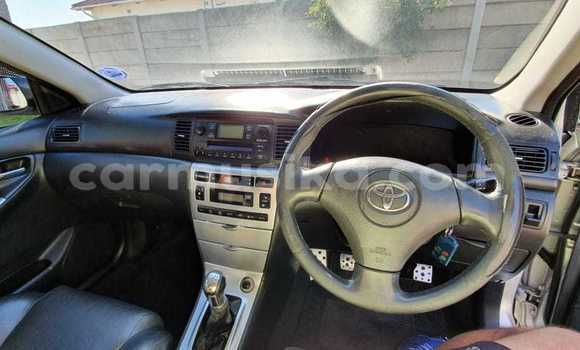 Acheter Occasion Voiture Toyota Runx Gris à Beitbridge, Matabeleland South Acheter Occasion Voiture Toyota Runx Gris à Beitbridge, Matabeleland South