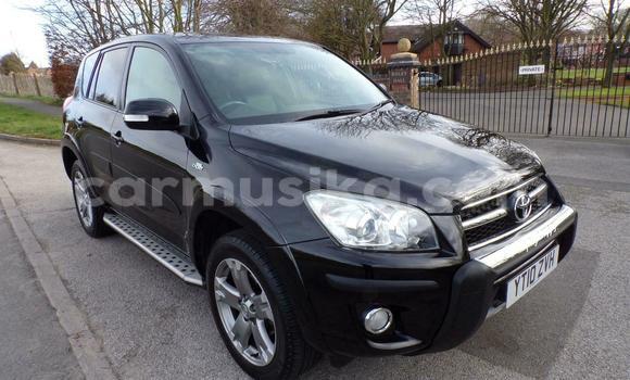 Tenga Tsaru Toyota RAV4 Nhema Mota in Harare in Harare Tenga Tsaru Toyota RAV4 Nhema Mota in Harare in Harare