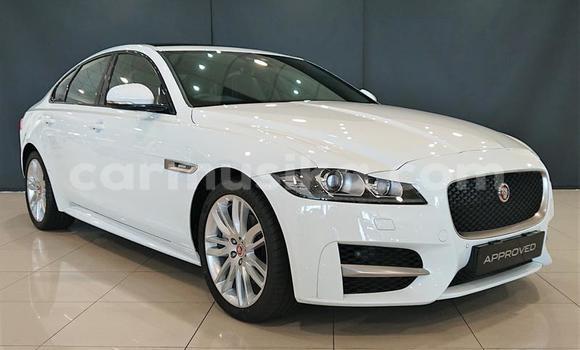 Buy Used Jaguar XJ220 White Car in Beitbridge in Matabeleland South Buy Used Jaguar XJ220 White Car in Beitbridge in Matabeleland South