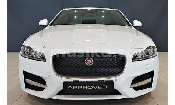 Buy Used Jaguar XJ220 White Car in Beitbridge in Matabeleland South Buy Used Jaguar XJ220 White Car in Beitbridge in Matabeleland South