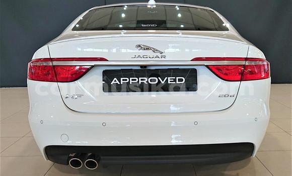 Buy Used Jaguar XJ220 White Car in Beitbridge in Matabeleland South Buy Used Jaguar XJ220 White Car in Beitbridge in Matabeleland South