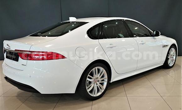 Buy Used Jaguar XJ220 White Car in Beitbridge in Matabeleland South Buy Used Jaguar XJ220 White Car in Beitbridge in Matabeleland South