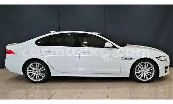 Buy Used Jaguar XJ220 White Car in Beitbridge in Matabeleland South Buy Used Jaguar XJ220 White Car in Beitbridge in Matabeleland South