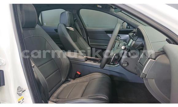 Buy Used Jaguar XJ220 White Car in Beitbridge in Matabeleland South Buy Used Jaguar XJ220 White Car in Beitbridge in Matabeleland South