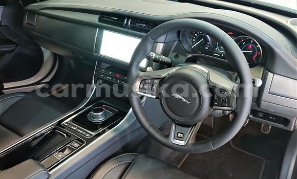 Buy Used Jaguar XJ220 White Car in Beitbridge in Matabeleland South Buy Used Jaguar XJ220 White Car in Beitbridge in Matabeleland South