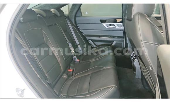 Buy Used Jaguar XJ220 White Car in Beitbridge in Matabeleland South Buy Used Jaguar XJ220 White Car in Beitbridge in Matabeleland South