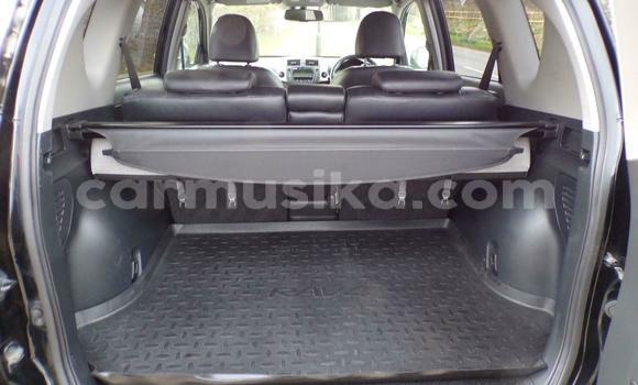 Tenga Tsaru Toyota RAV4 Nhema Mota in Harare in Harare Tenga Tsaru Toyota RAV4 Nhema Mota in Harare in Harare