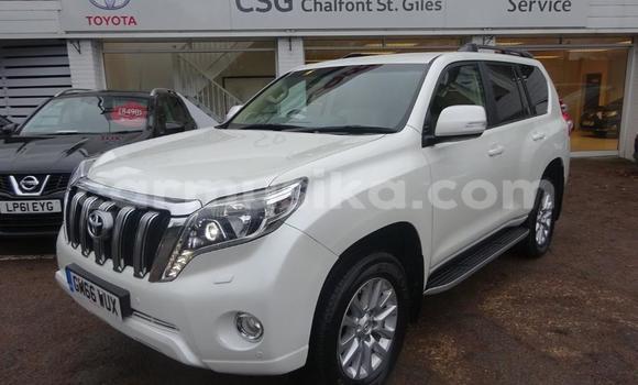 Tenga Tsaru Toyota Land Cruiser Prado Nhema Mota in Harare in Harare Tenga Tsaru Toyota Land Cruiser Prado Nhema Mota in Harare in Harare
