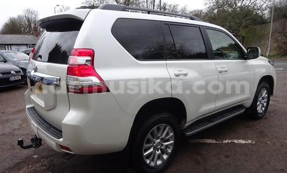Tenga Tsaru Toyota Land Cruiser Prado Nhema Mota in Harare in Harare Tenga Tsaru Toyota Land Cruiser Prado Nhema Mota in Harare in Harare