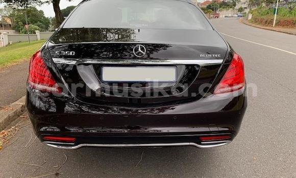 Acheter Occasion Voiture Mercedes‒Benz C–Class Noir à Beitbridge, Matabeleland South Acheter Occasion Voiture Mercedes‒Benz C–Class Noir à Beitbridge, Matabeleland South