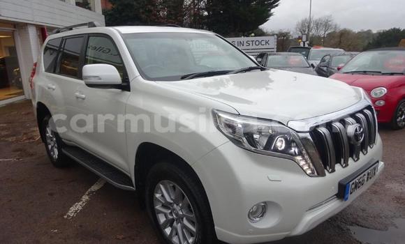 Tenga Tsaru Toyota Land Cruiser Prado Nhema Mota in Harare in Harare Tenga Tsaru Toyota Land Cruiser Prado Nhema Mota in Harare in Harare