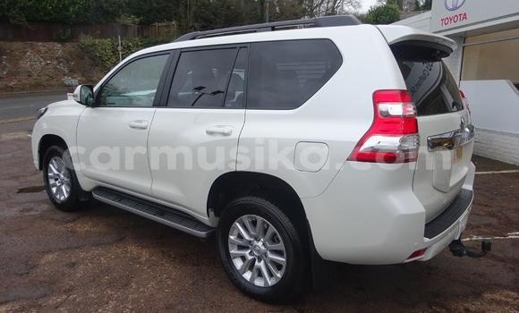 Tenga Tsaru Toyota Land Cruiser Prado Nhema Mota in Harare in Harare Tenga Tsaru Toyota Land Cruiser Prado Nhema Mota in Harare in Harare