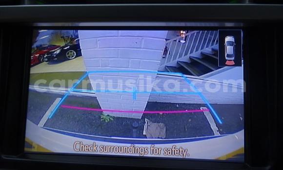 Tenga Tsaru Toyota Land Cruiser Prado Nhema Mota in Harare in Harare Tenga Tsaru Toyota Land Cruiser Prado Nhema Mota in Harare in Harare