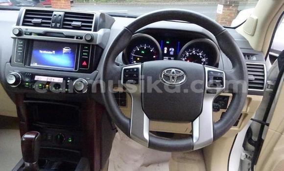 Tenga Tsaru Toyota Land Cruiser Prado Nhema Mota in Harare in Harare Tenga Tsaru Toyota Land Cruiser Prado Nhema Mota in Harare in Harare