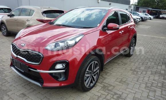 Tenga Tsaru Kia Sportage Tsvuku Mota in Beitbridge in Matabeleland South
