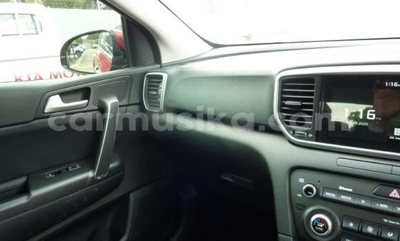 Tenga Tsaru Kia Sportage Tsvuku Mota in Beitbridge in Matabeleland South Tenga Tsaru Kia Sportage Tsvuku Mota in Beitbridge in Matabeleland South