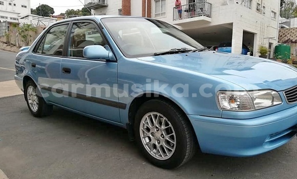 Acheter Occasion Voiture Toyota Corona Bleu à Alexandra Park, Harare Acheter Occasion Voiture Toyota Corona Bleu à Alexandra Park, Harare