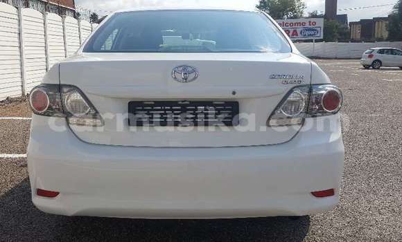 Nunua Ilio tumika Toyota Corolla Nyeupe Gari ndani ya Beitbridge nchini Matabeleland Kusini