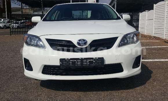 Buy Used Toyota Corolla White Car in Beitbridge in Matabeleland South Buy Used Toyota Corolla White Car in Beitbridge in Matabeleland South