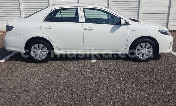 Buy Used Toyota Corolla White Car in Beitbridge in Matabeleland South Buy Used Toyota Corolla White Car in Beitbridge in Matabeleland South