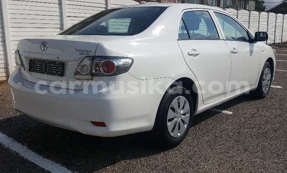 Buy Used Toyota Corolla White Car in Beitbridge in Matabeleland South Buy Used Toyota Corolla White Car in Beitbridge in Matabeleland South
