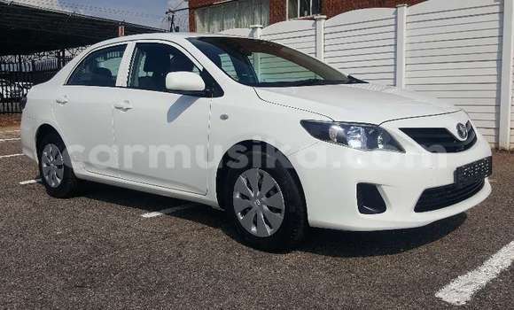 Buy Used Toyota Corolla White Car in Beitbridge in Matabeleland South Buy Used Toyota Corolla White Car in Beitbridge in Matabeleland South